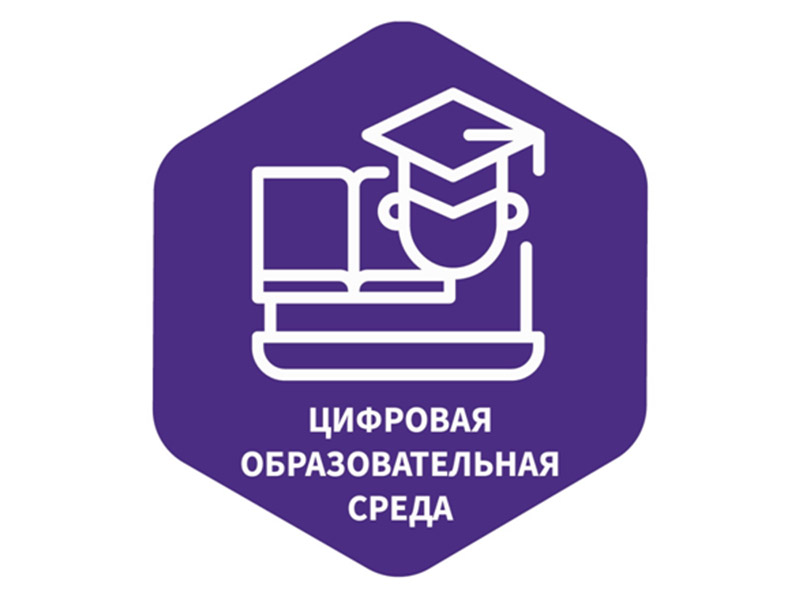 О реализации национального проекта «Цифровая образовательная среда».